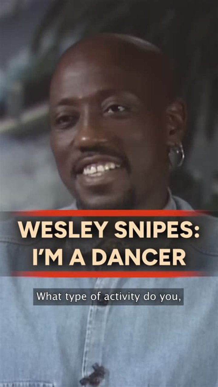 Wesley Snipes Illness, Weight Gain, Career, Relationship, Net Worth And More 3 Wesley Snipes career