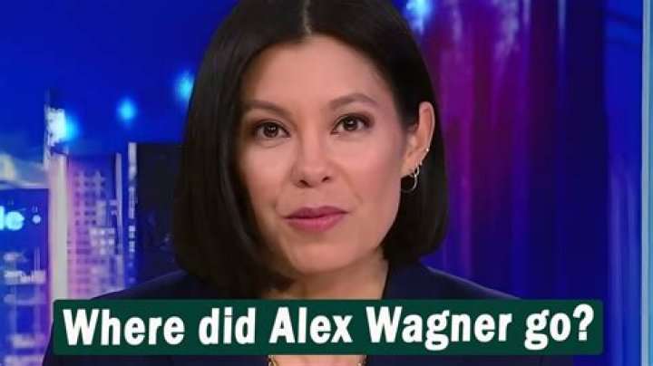 Why Did Alex Wagner Leave &lsquo;The Circus'? What's She Doing Now?